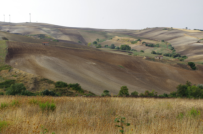 Le colline lavorate