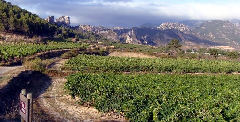 Il paesaggio della Rioja e i vigneti di Bodegas Muga