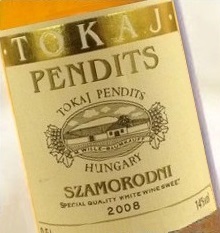 Szamorodni 2008 - Pendits