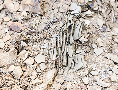 La cosiddetta "ponka"