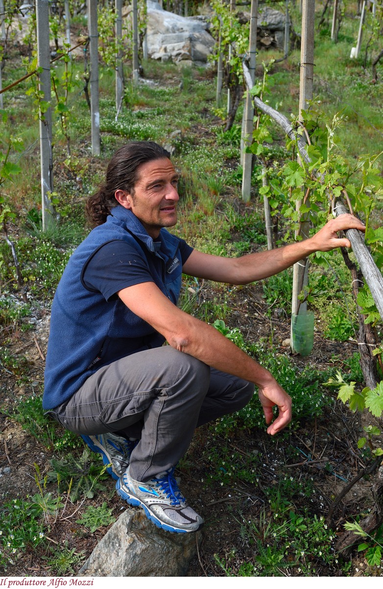 Alfio Mozzi