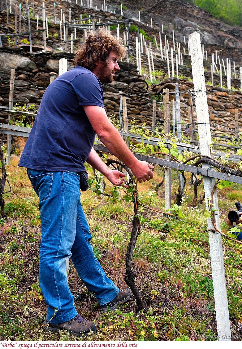 Pierpaolo Di Franco (Dirupi)