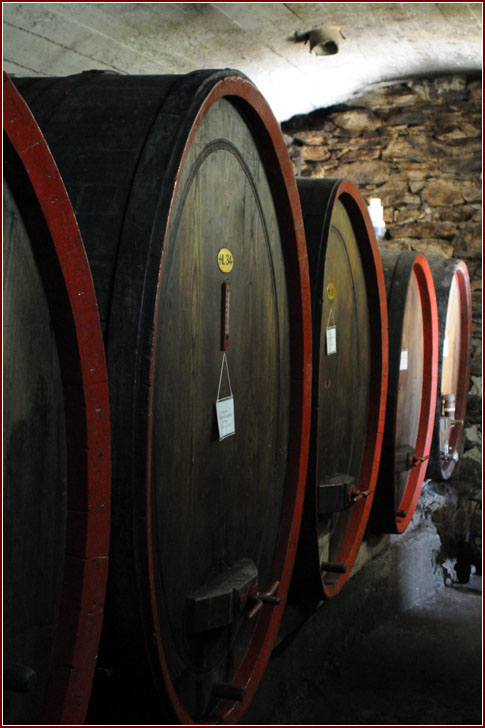 Botti azienda Leusciatti