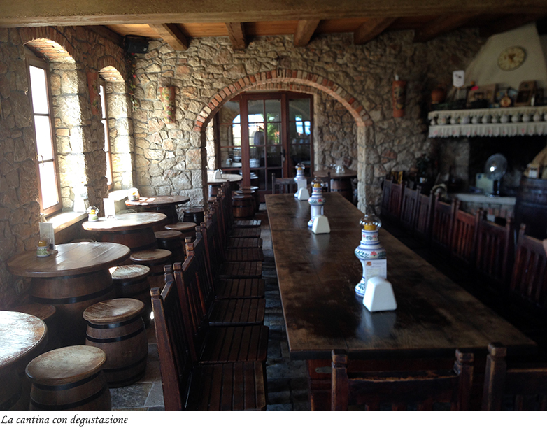 La cantina con la degustazione