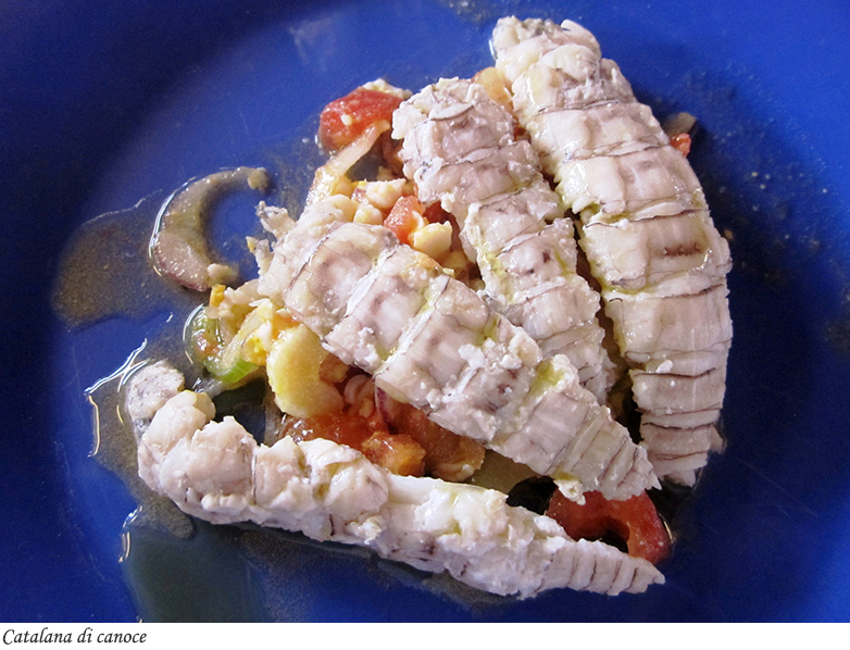 Catalana di canoce