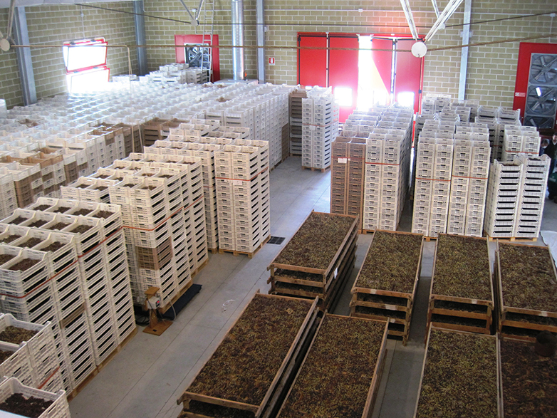 Centro di appassimento