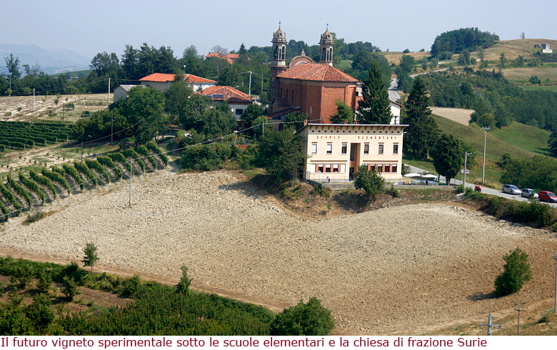 Vigneto sperimentale