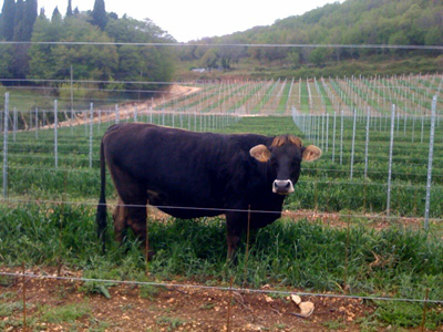 Sonia a Corte Sant'Alda