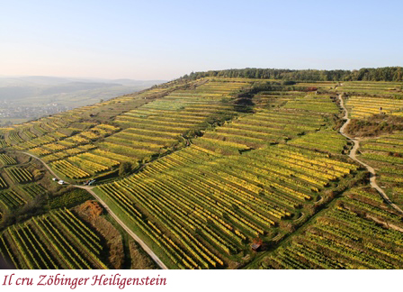 Il cru Zöbinger Heiligenstein