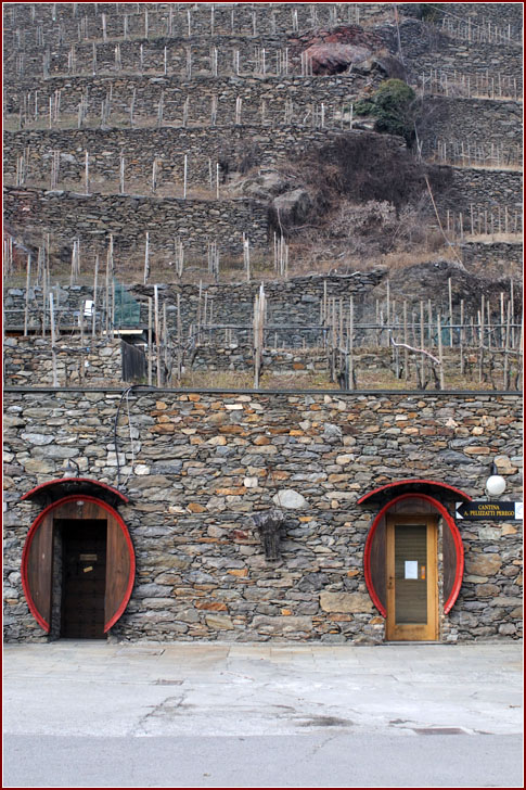 Entrata azienda Arpepe