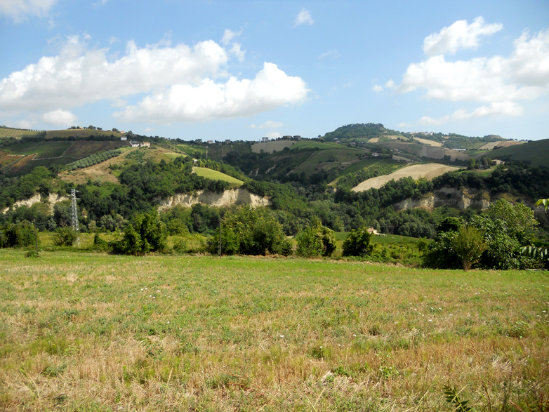 Paesaggio marchigiano