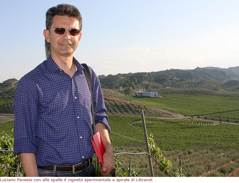 Luciano Pavesio con alle spalle il vigneto sperimentale a spirale di Librandi