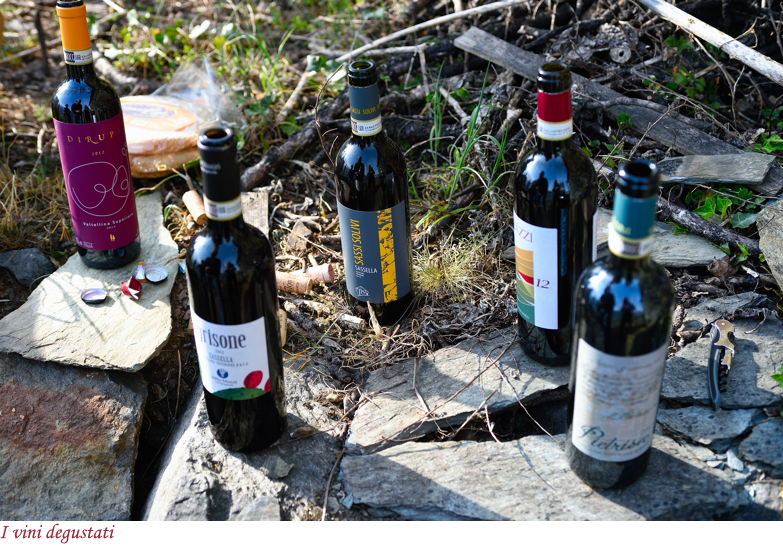 I vini della Sassella