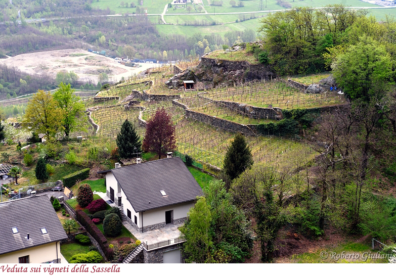 I vigneti della Sassella