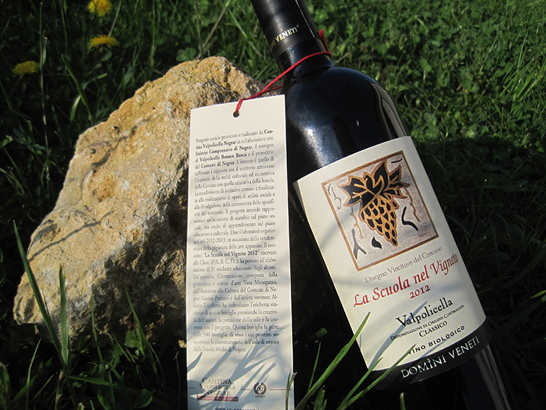 Valpolicella Classico La Scuola nel Vigneto 2012 - Domìni Veneti