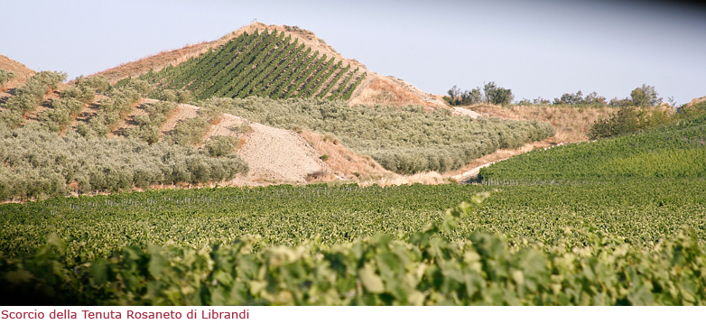 Scorcio della Tenuta Rosaneto di Librandi
