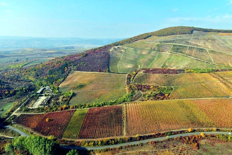 Le vigne di Thummerer