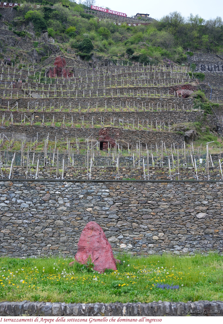 I terrazzamenti sopra l'entrata di Arpepe