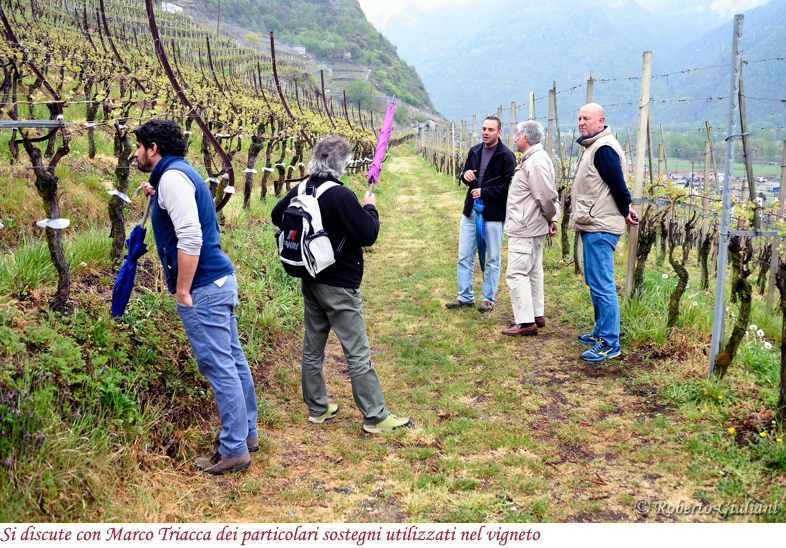 Tra i filari con Triacca e Fay