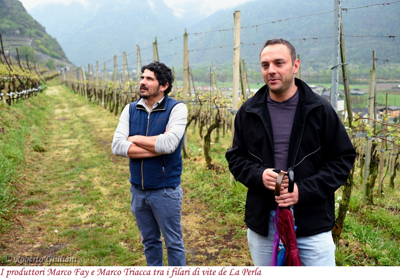 Alla tenuta La Perla con Marco Fay e Marco Triacca