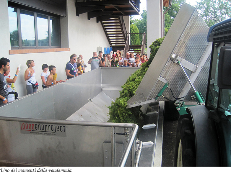 Uno dei momenti della vendemmia
