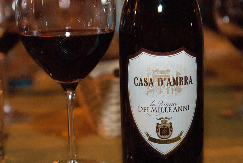 La Vigna dei Mille Anni - Casa D'Ambra