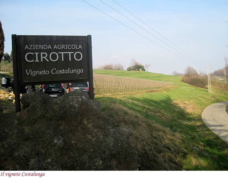 Il vigneto Costalunga