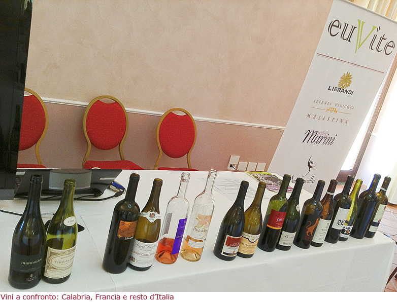 I vini a confronto