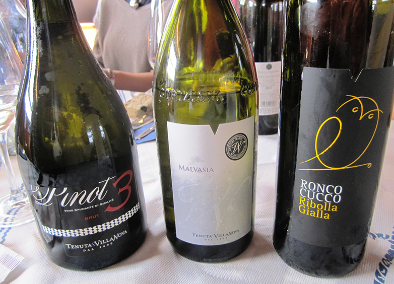 I vini della Tenuta Villanova