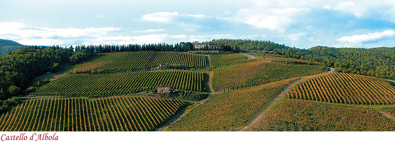 Castello d'Albola