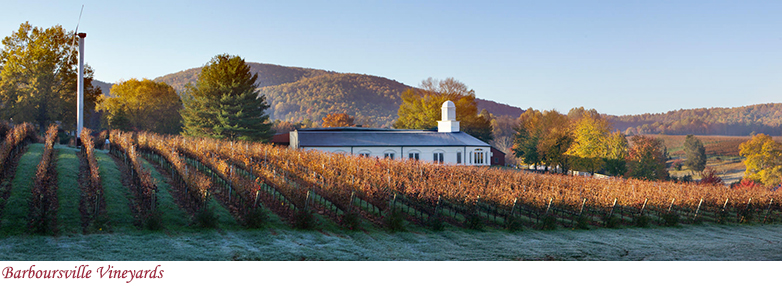 Barboursville Vineyards