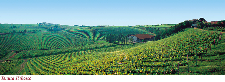 Tenuta Il Bosco