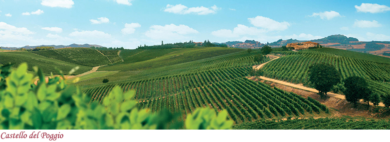 Castello del Poggio