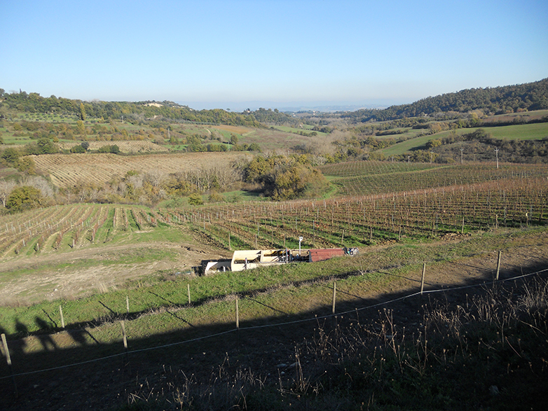 Salcheto - Toscana
