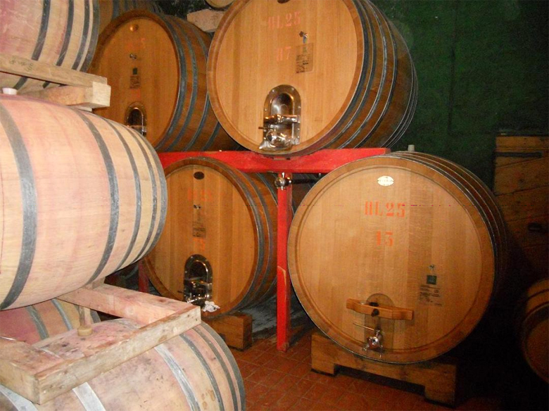 La bottaia dell'azienda Antonelli San Marco di Montefalco (PG)