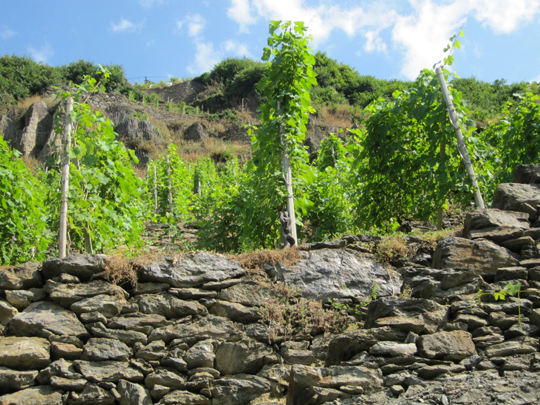 I muretti in pietra di contenimento