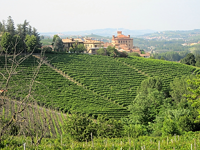 I vigneti a Barolo