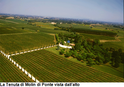 La Tenuta di Molin di Ponte vista dall'alto