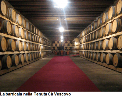 La barricaia della tenuta Ca' Vescovo