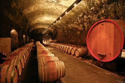 Parte storica della Cantina di Caldaro