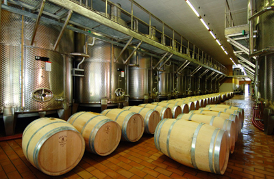 Cantina marco Felluga