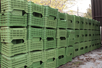 Cassette per la raccolta delle uve