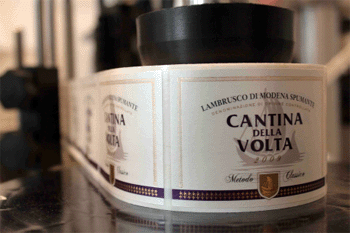 Lambrusco di Modena MC