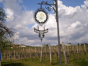 Insegna azienda Colle Duga