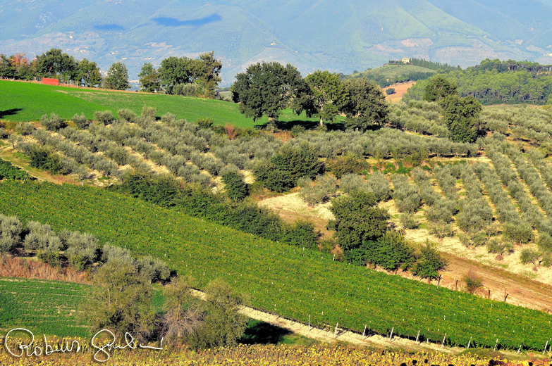 Paesaggio dalla strada per Spoleto