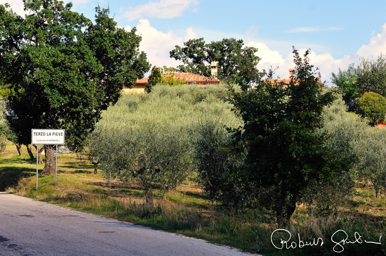 Terzo La Pieve, la località dove risiede l'azienda di Vittorio Mattioli