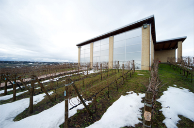 La cantina Collefrisio in inverno