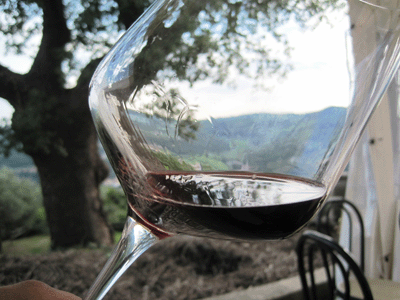 Un calice di Valpolicella