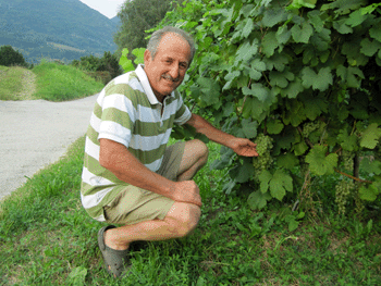 Claudio Dell'Antonia