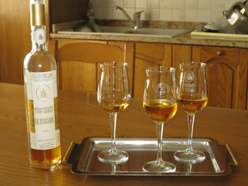 Il Torchiato di Fregona